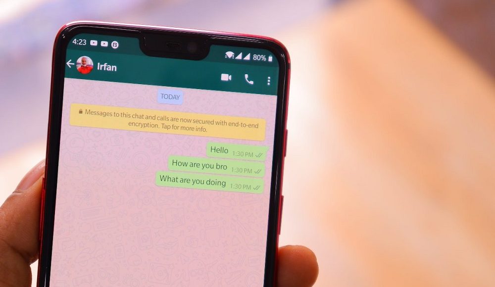 how-to-read-whatsapp-message-without-blue-tick